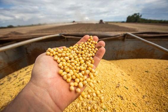Agro sob pressão global: produção brasileira enfrenta disputa econômica e barreiras internacionais